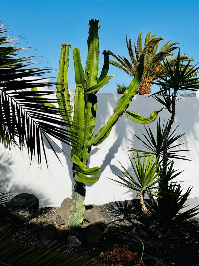 Casa Alizee, Heated Pool, Hot Tub Vila Playa Blanca  Exterior foto